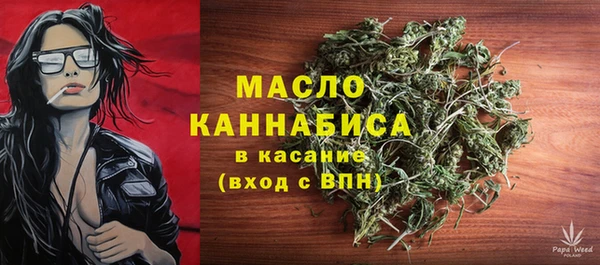 2c-b Ельня
