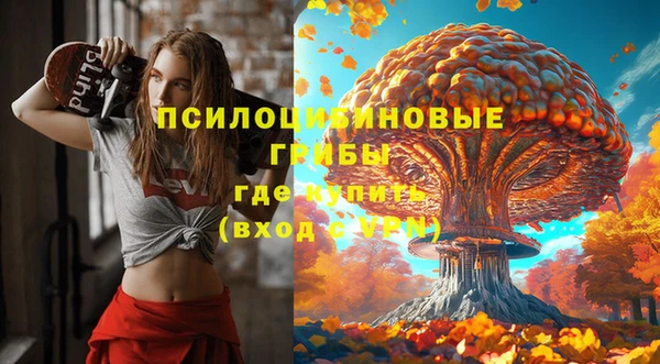 стафф Алексин