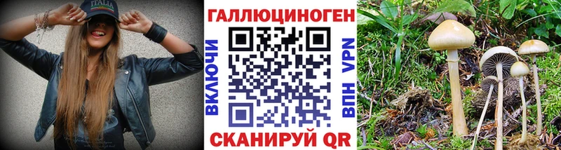 Псилоцибиновые грибы ЛСД  Алушта 